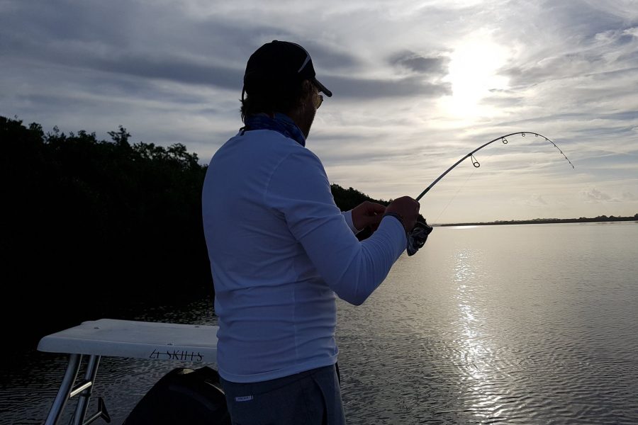 Bonefish de mangrove