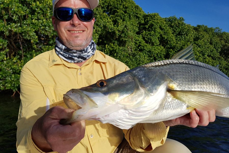 Pêche du Snook dans la mangrove
