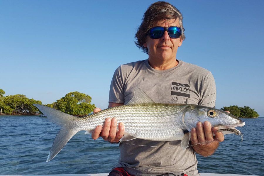 Bonefish « gras du ventre »