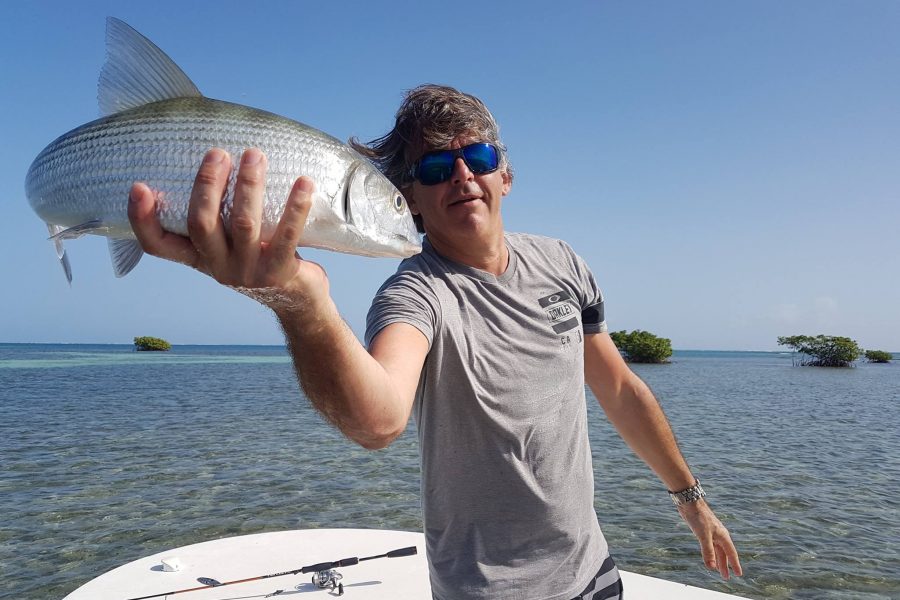 Bonefish « gras du ventre »