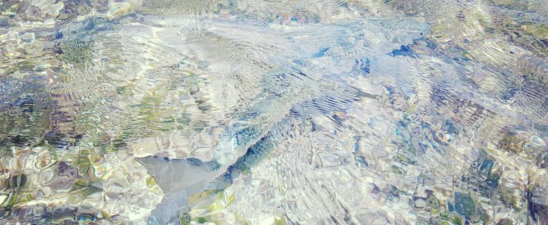 Dernière sortie avec LUDO