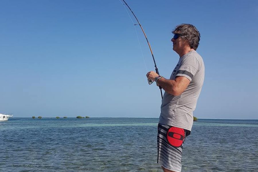 Bonefish « gras du ventre »