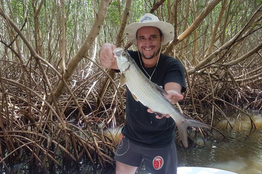 Babys Tarpons Guadeloupéens WATAFISH