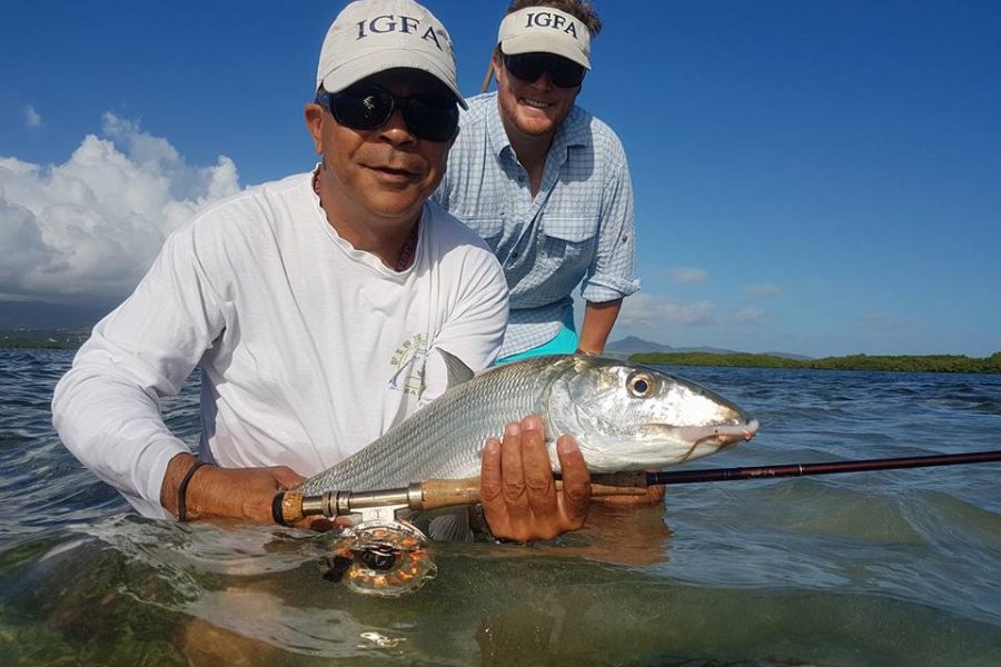 IGFA se met au Bonefish en Guadeloupe