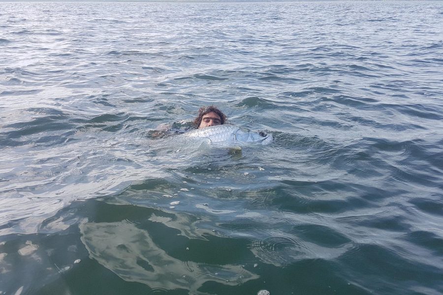Joli Tarpon en pêche Light