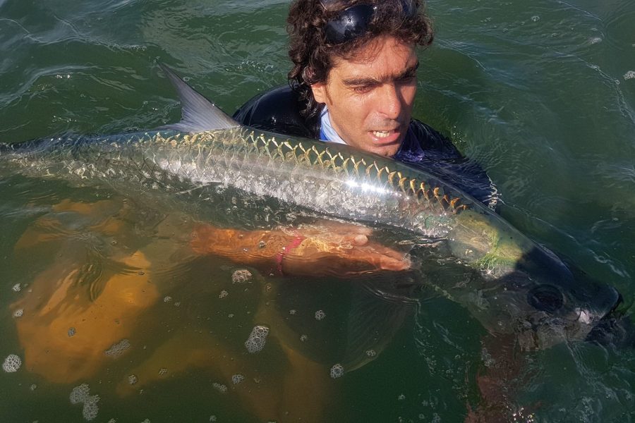 Joli Tarpon en pêche Light
