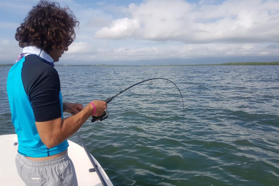 Joli Tarpon en pêche Light