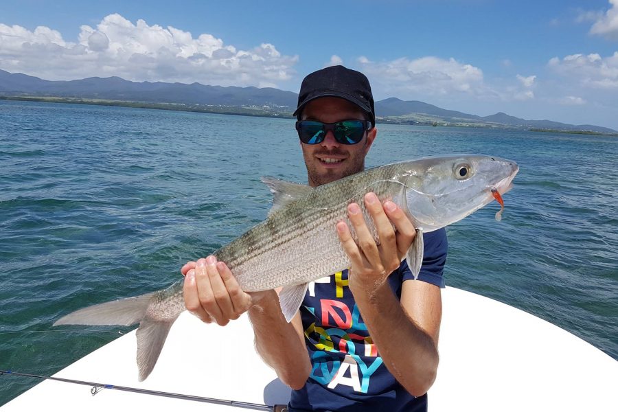 Guidage de pêche en Guadeloupe