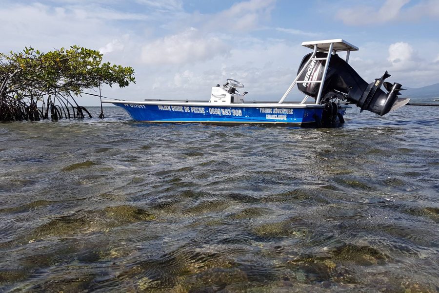 Fly Fishing en Guadeloupe à la recherche des gros BoneFish