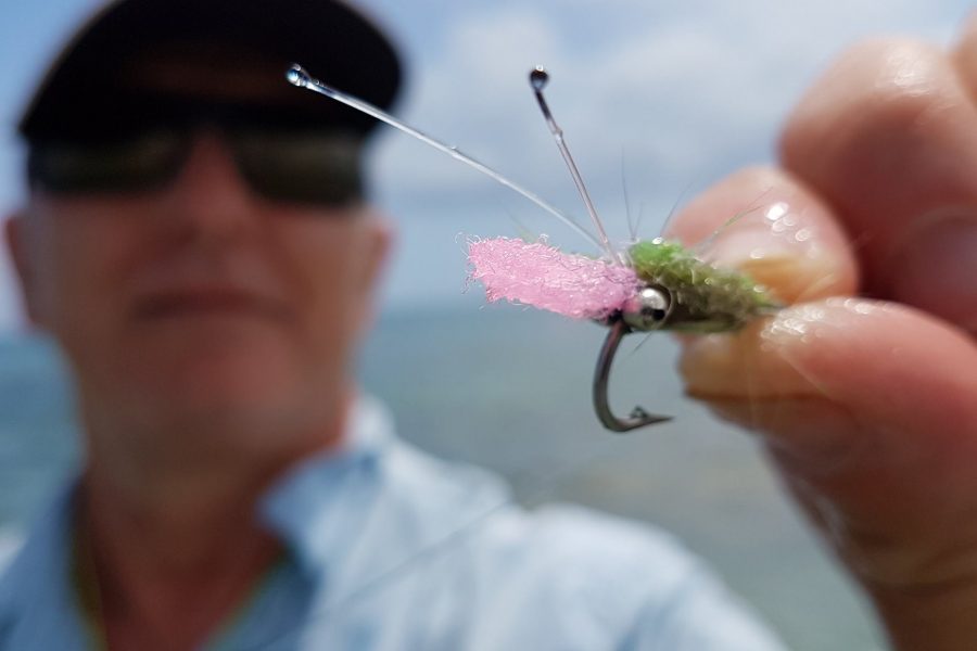 Fly Fishing en Guadeloupe à la recherche des gros BoneFish