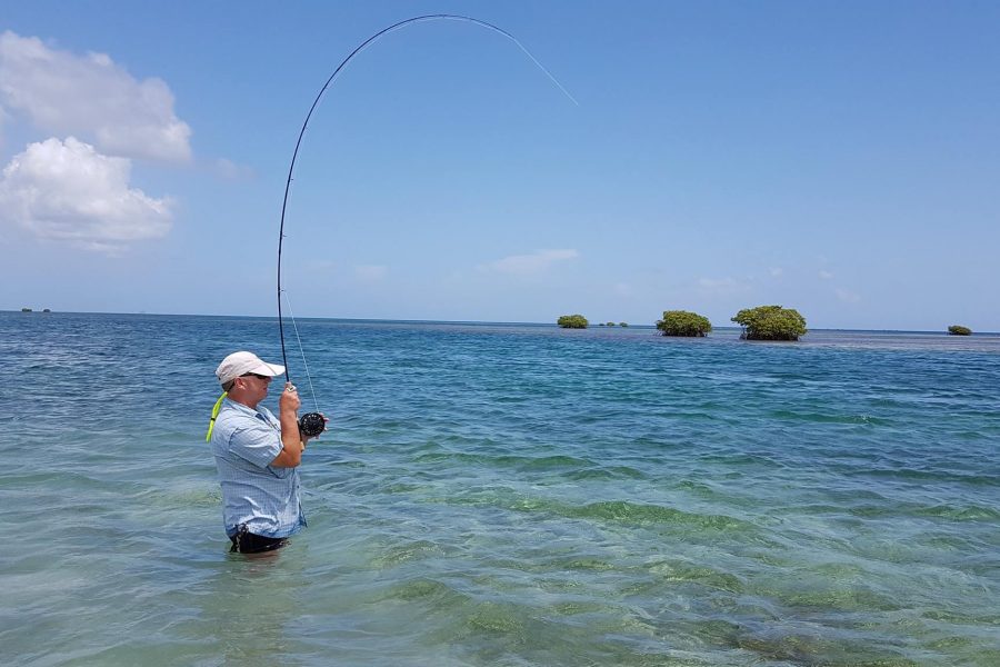 Fly Fishing en Guadeloupe à la recherche des gros BoneFish