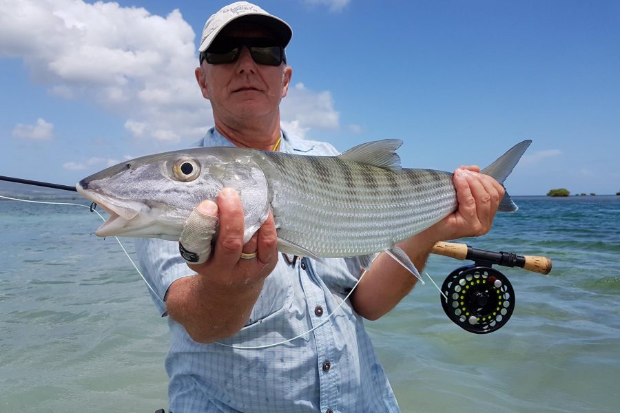 Fly Fishing / Pêche du Bonefish à la mouche en Guadeloupe