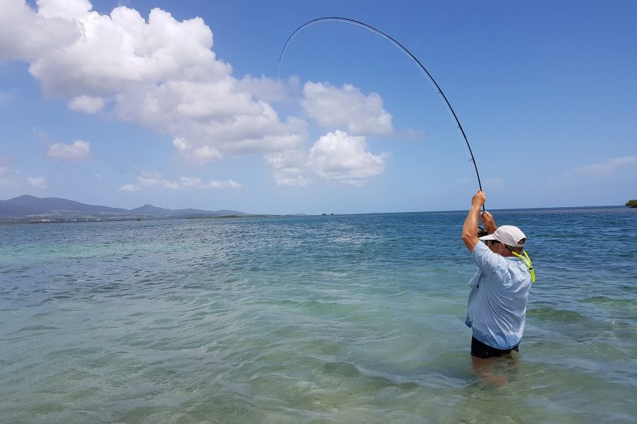 Fly Fishing en Guadeloupe à la recherche des gros BoneFish