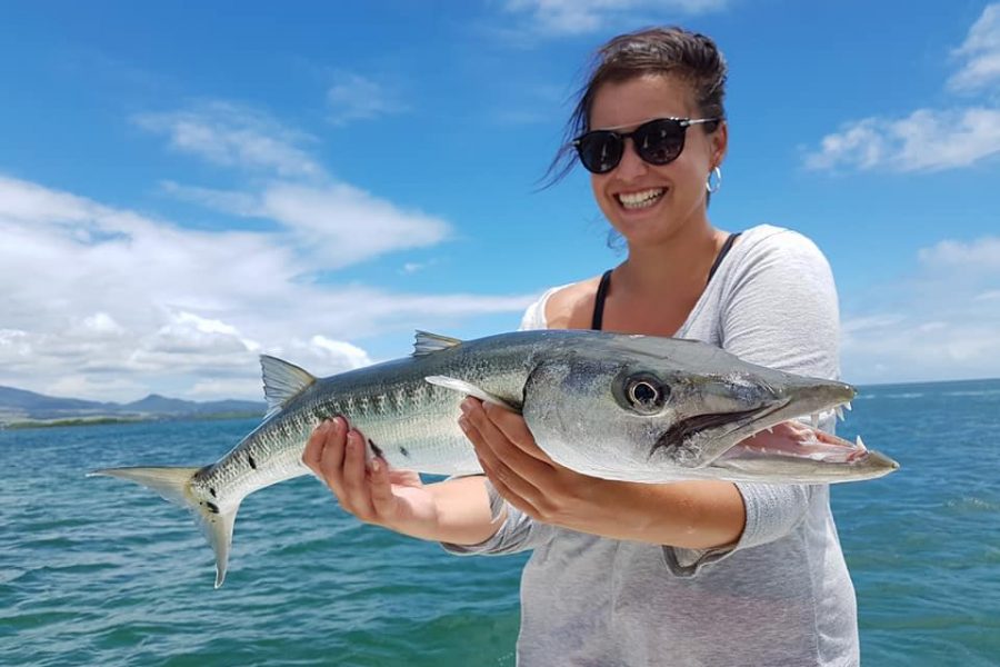 Gros poissons de Guadeloupe