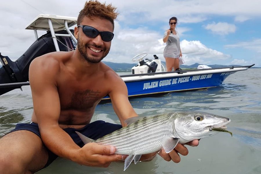 Gros poissons de Guadeloupe