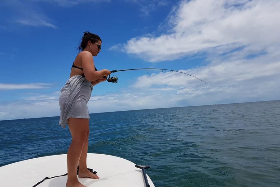 Gros poissons de Guadeloupe