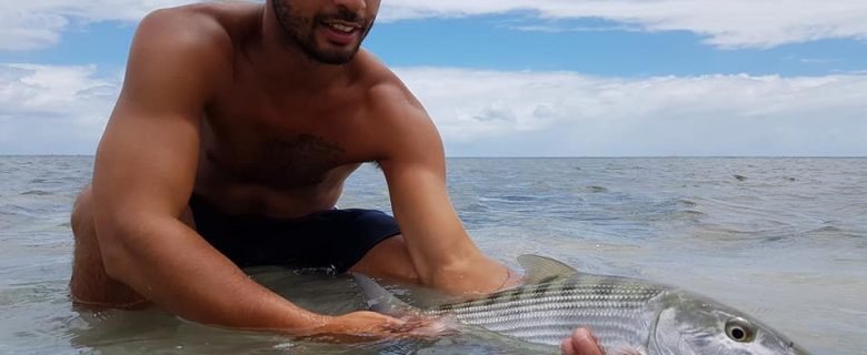 Gros poissons de Guadeloupe