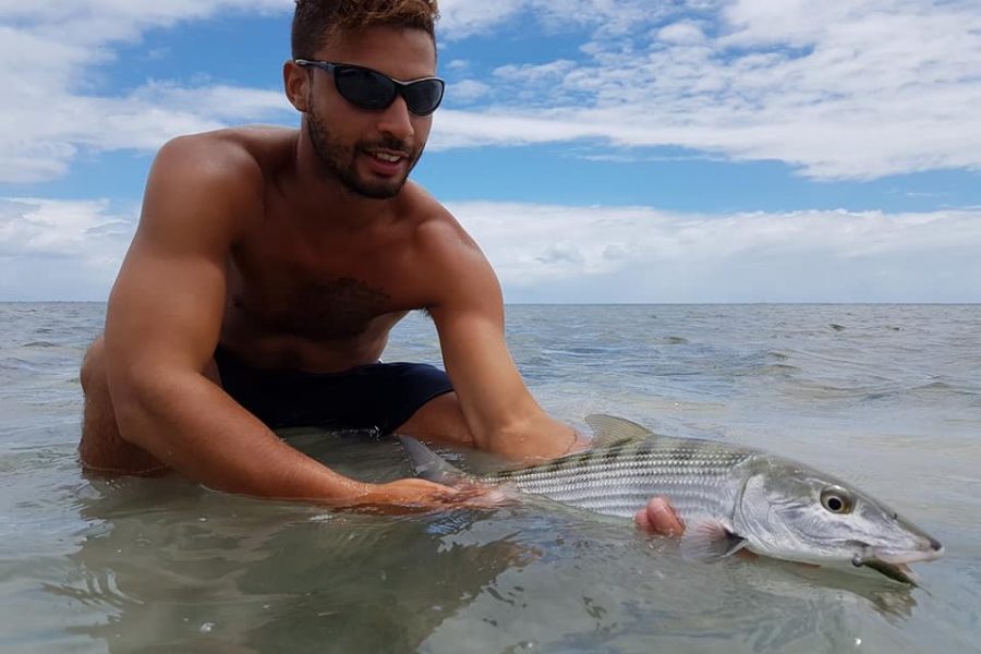 Gros poissons de Guadeloupe