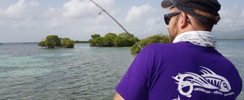 Pêche en ultra light en Guadeloupe