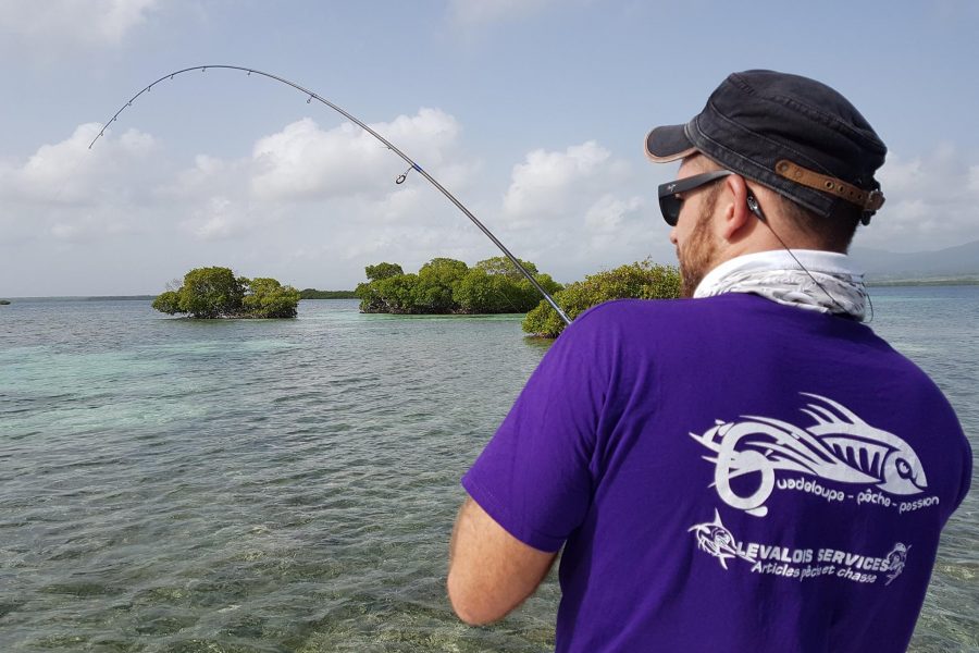 Pêche en ultra light en Guadeloupe