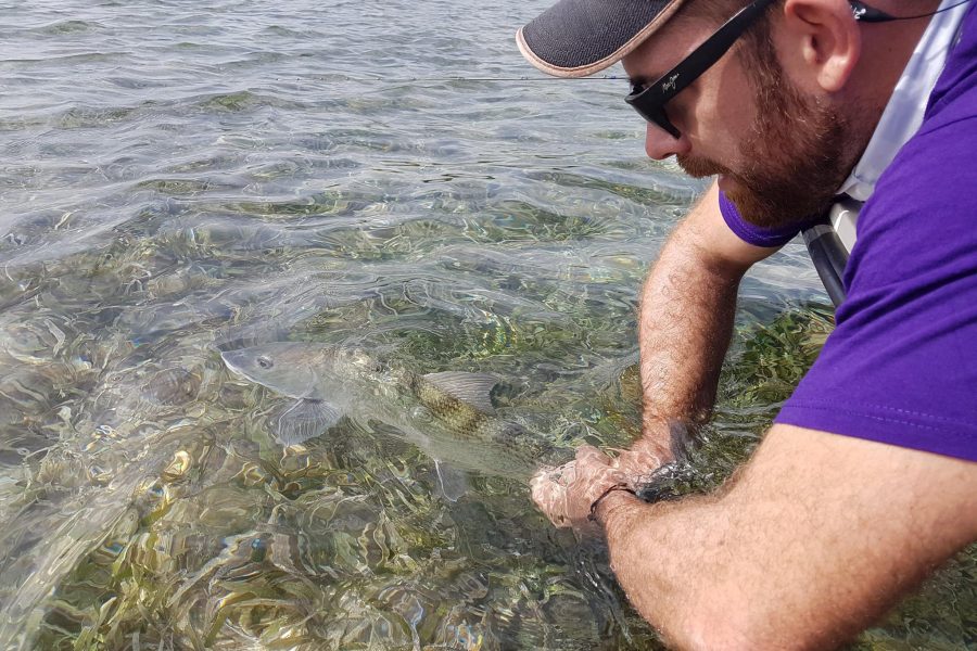 Pêche en ultra light en Guadeloupe