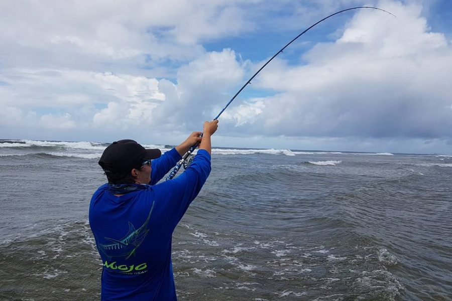 Bonefish à la mouche en Guadeloupe / Fly fishing in Guadeloupe
