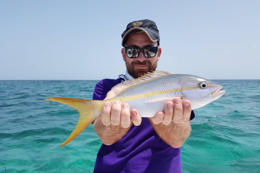 Pêche en ultra light en Guadeloupe