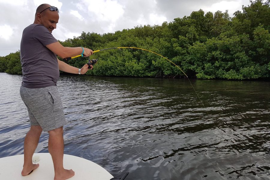 Pêche du Tarpon en Guadeloupe