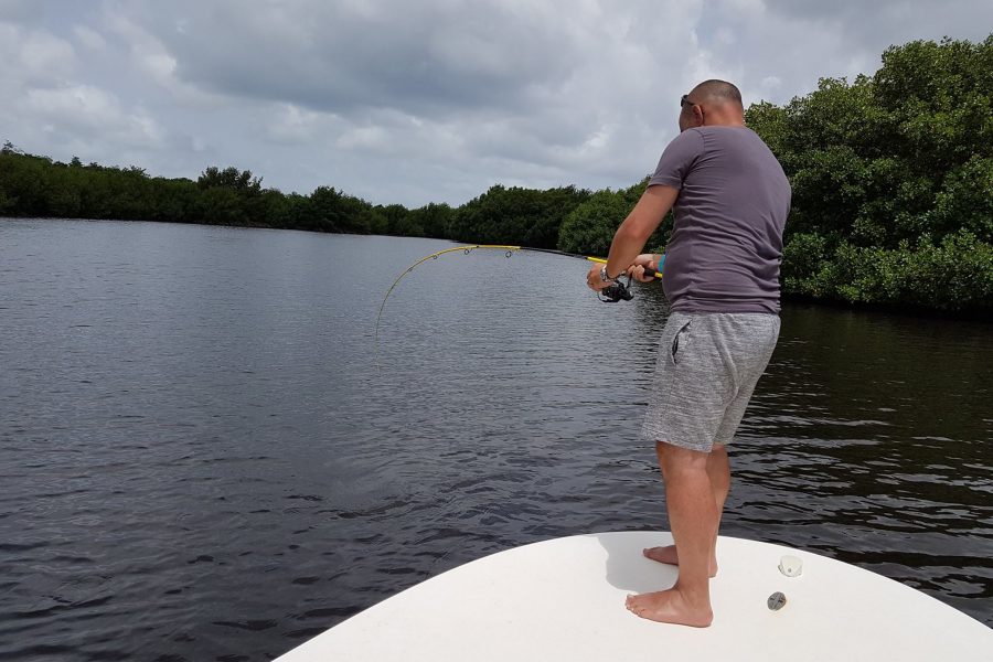 Pêche du Tarpon en Guadeloupe