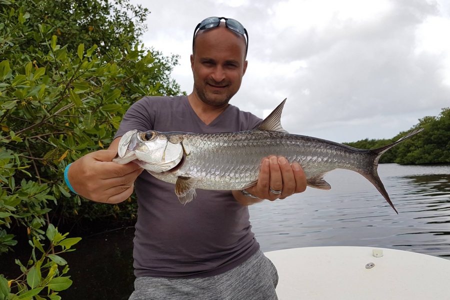 Pêche du Tarpon en Guadeloupe