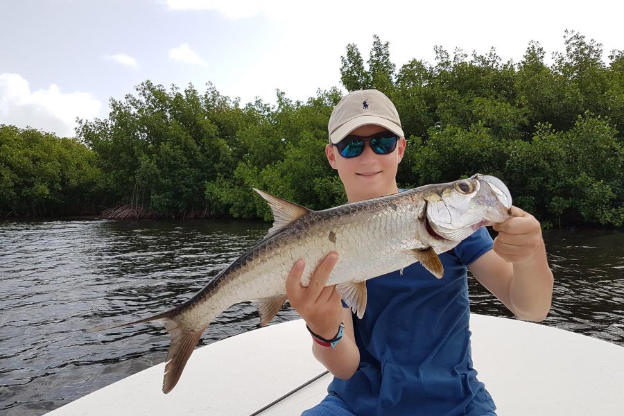 Pêche du Tarpon en Guadeloupe