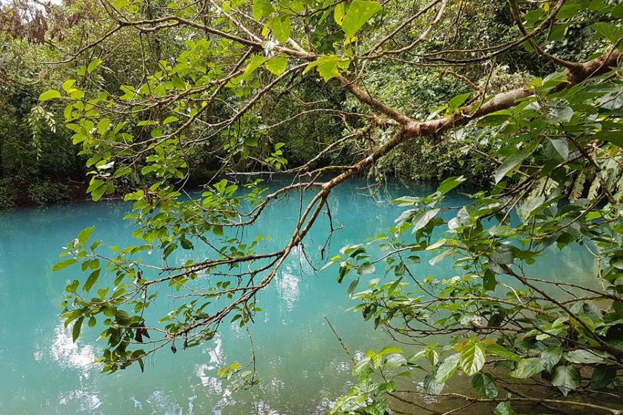 Voyage de pêche au Costa Rica