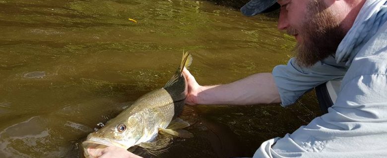 Une journée de pêche réussie à bord du SKIFF