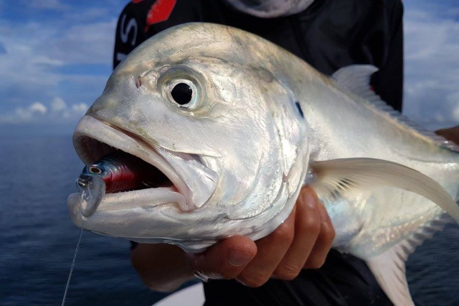 Semaine de pêche en Guadeloupe