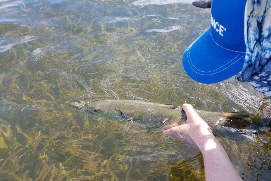 Semaine de pêche en Guadeloupe