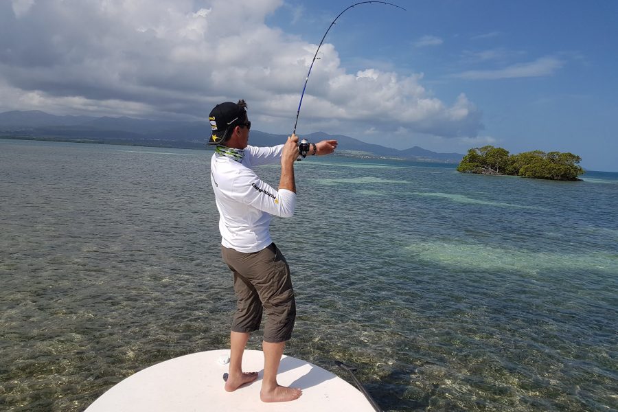 Ouverture de la pêche du Bone-Fish en Guadeloupe