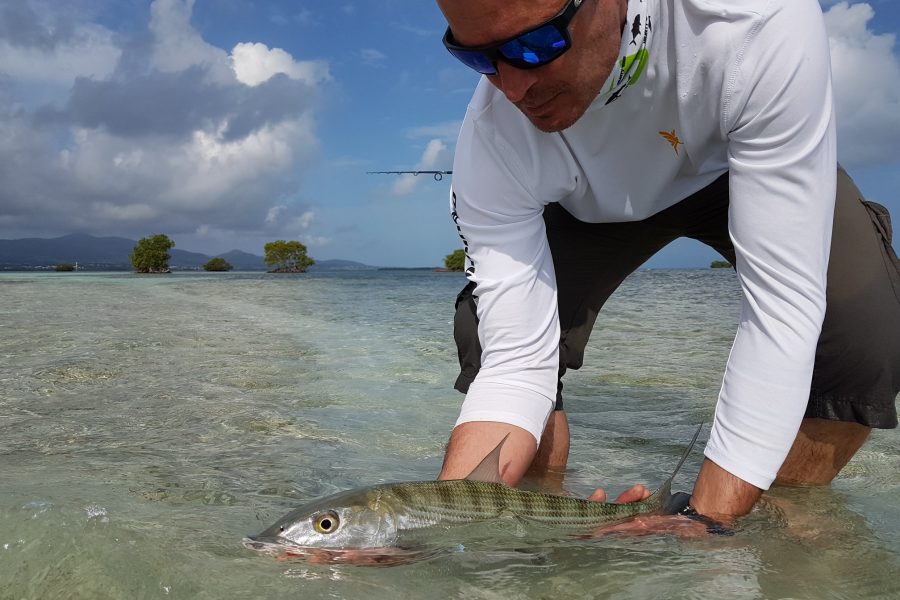 Ouverture de la pêche du Bone-Fish en Guadeloupe