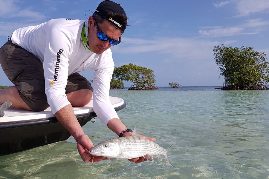 Ouverture de la pêche du Bone-Fish en Guadeloupe