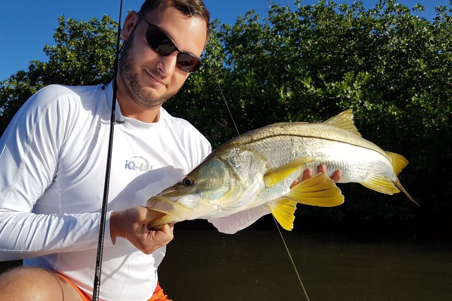 Pêche du Snook à vue dans la mangrove
