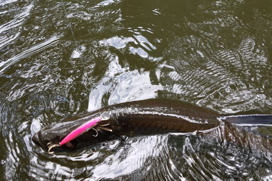 Partie de pêche entre Guides