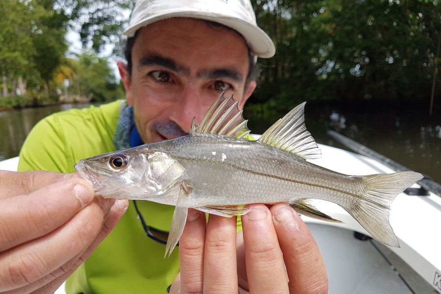 Partie de pêche entre Guides