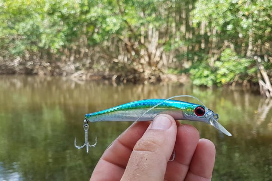Jolie Tarpon de mangrove