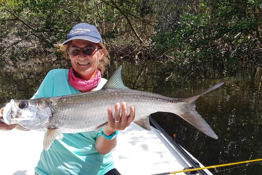 Jolie Tarpon de mangrove