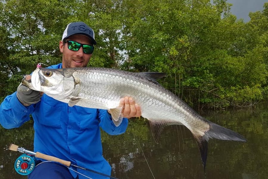 Fly fishing en Guadeloupe à la recherche des Tarpons