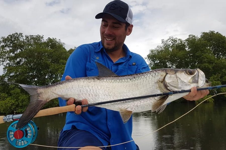 Fly fishing en Guadeloupe à la recherche des Tarpons
