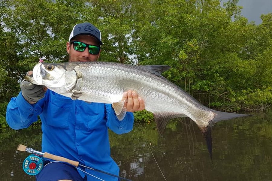 Fly fishing en Guadeloupe à la recherche des Tarpons