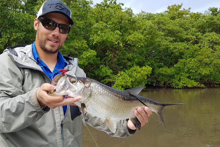 Fly fishing en Guadeloupe à la recherche des Tarpons