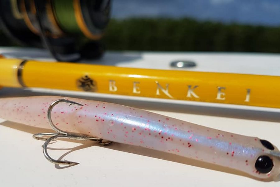 Le ONYO ONYO un leurre parfait pour les Tarpons et Snooks de Guadeloupe