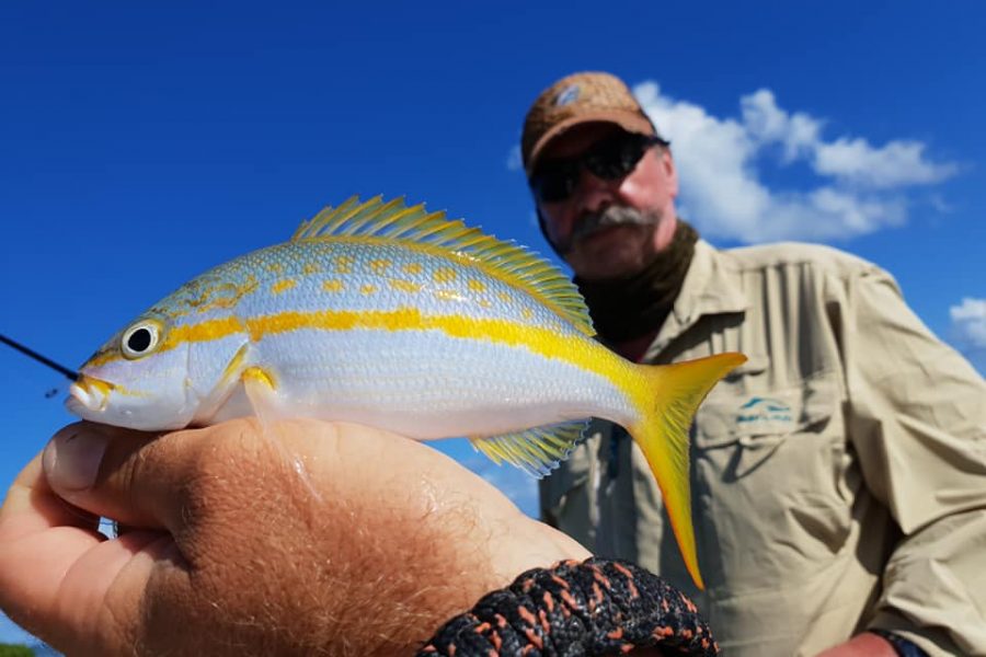 Quand le pêcheur s’applique, les poissons rentrent !!