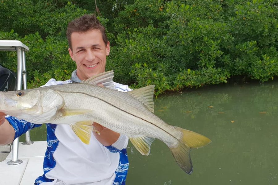 À la recherche des babys tarpons